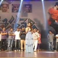Jr NTR's Oosaravelli Audio Launch Gallery | Picture 77315